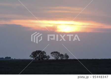 Pampas sunset landscape, La pampa, Argentina 95448347