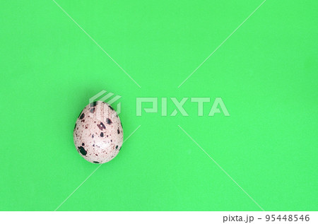 One quail egg on a light green surface, top view, empty place fo 95448546