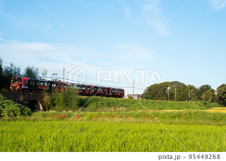 【北勢線】めがね橋と彼岸花と列車 【北勢線】めがね橋と彼岸花と列車 95449268