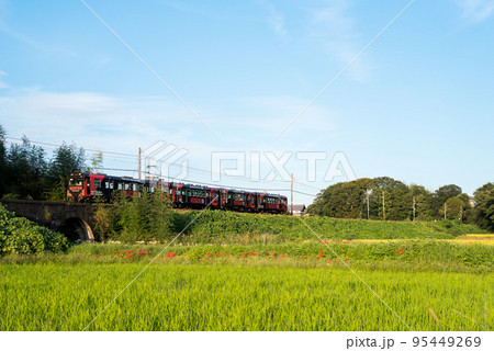 【北勢線】めがね橋と彼岸花と列車 95449269