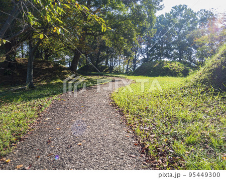 公園の道 95449300