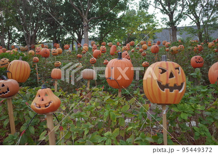 ハロウィンのカボチャ飾り ハロウィンのカボチャ飾り 95449372