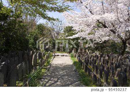 元興寺 浮図田 95450237