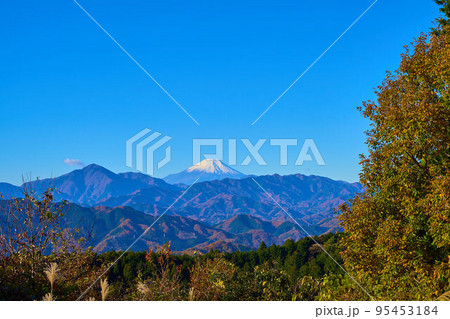 秋の快晴の高尾山一丁平展望台から見える富士山(高尾山から小仏城山に向かう尾根上) 95453184