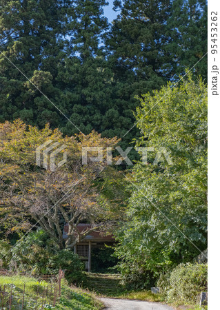 西楽々福神社跡　随神門　鳥取県日野郡日南町宮内 95453262