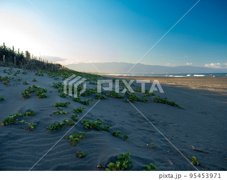 自然 天然 ナチュラル 95453971