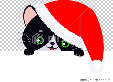 Cute black cat in Christmas hat Cute black cat in Christmas hat 95454606