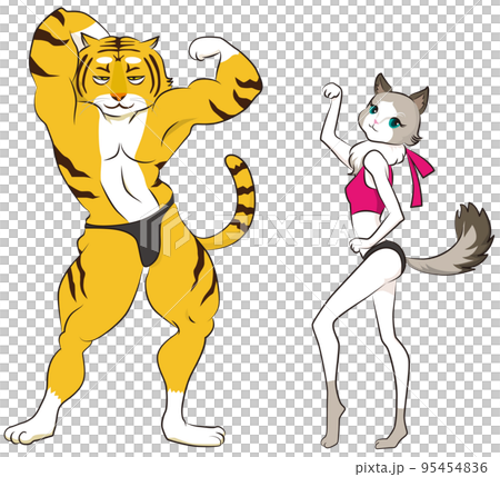 macho tiger and sexy cat 95454836