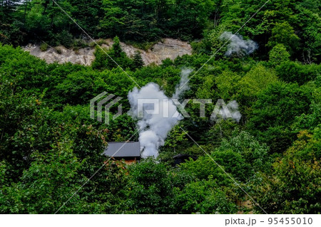 岩手県葛根田　林の中に蒸気立ち上る 95455010
