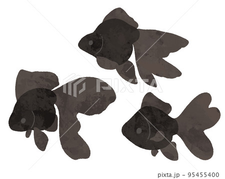 水彩風の横から見た黒色の金魚 95455400
