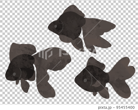 水彩風の横から見た黒色の金魚 95455400