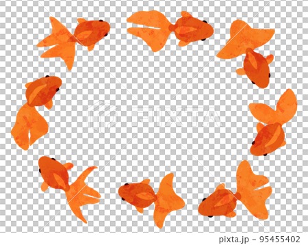 水彩風の上から見た赤色の金魚 95455402