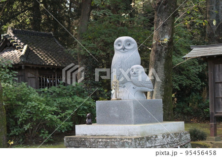 野木神社 95456458