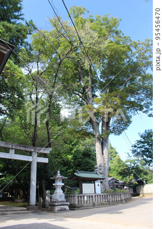 野木神社 95456470