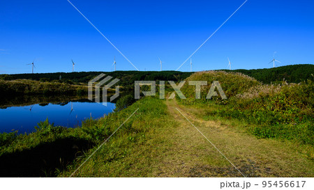 青空に映える風車群 琵琶沼 秋田県冬師湿原 青空に映える風車群 琵琶沼 秋田県冬師湿原 95456617