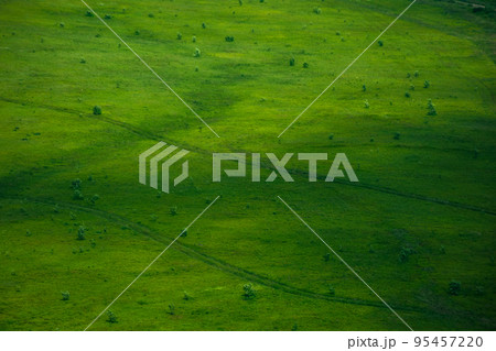 green grass surface texture. mountain hill in summer 95457220