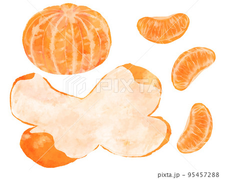 皮がむけているみかんのイラスト 手描き 水彩風のイラスト素材