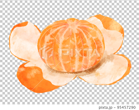 手描きイラスト◆みかん様用頁◆ 解説】🍊冬の絵手紙『みかん』11月、12月、1月 描き方解説 果物
