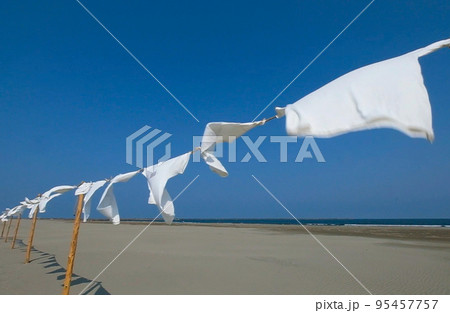 夏の浜辺で風になびくTシャツ 夏の浜辺で風になびくTシャツ 95457757