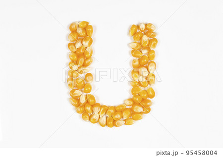 ポップコーンの種で作った アルファベット U 95458004