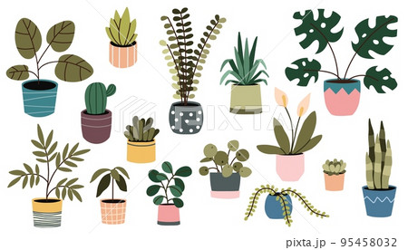 Potted plant. Houseplants in flower pot. Vector bundle of trendy plants 95458032