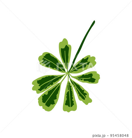Tropical leaves. Botanical palm tropic leaf set. Vector foliage summer plant. Exotic jungle green design elements. Tropical leaves. Botanical palm tropic leaf set. Vector foliage summer plant. Exotic jungle green design elements. 95458048