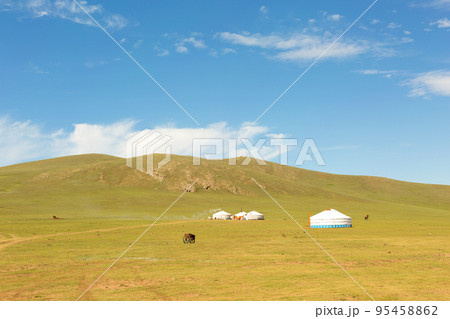 Yurts in Summer Mongolian Steppe Yurts in Summer Mongolian Steppe 95458862