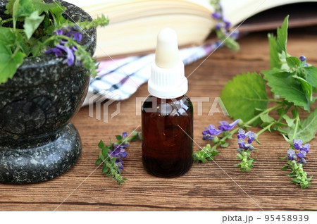 Tincture from Scutellaria lateriflora, known as blue skullcap or mad dog skull cap Tincture from Scutellaria lateriflora, known as blue skullcap or mad dog skull cap 95458939