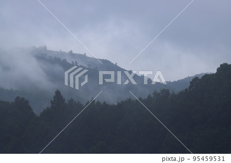 霧がかかった山 95459531