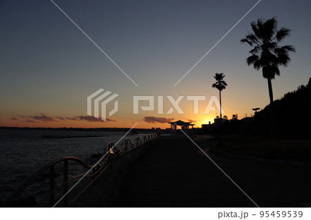 夕暮れ時の海岸 95459539