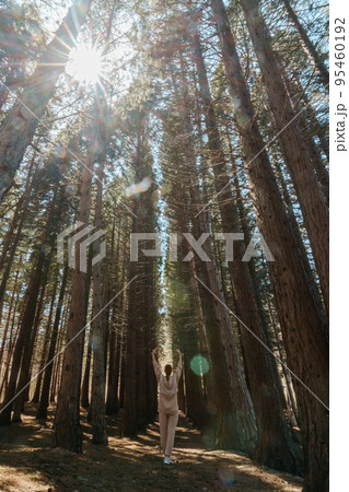 A girl in travels alone through the forest of high Sequoiadendron giganteum, rising into the sky on a sunny day. She is dressed in a beige tracksuit. A girl in travels alone through the forest of high Sequoiadendron giganteum, rising into the sky on a sunny day. She is dressed in a beige tracksuit. 95460192