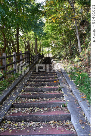 鷹栖神社,参道 鷹栖神社,参道 95461021