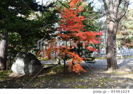 鷹栖神社、紅葉 鷹栖神社、紅葉 95461024