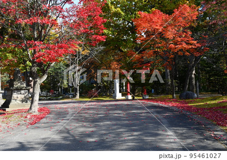 鷹栖神社、紅葉、鳥居 鷹栖神社、紅葉、鳥居 95461027