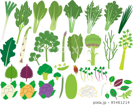 野菜3P 野菜3P 95461214