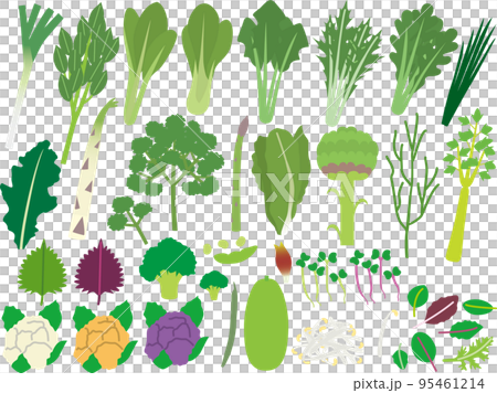 野菜3P 野菜3P 95461214