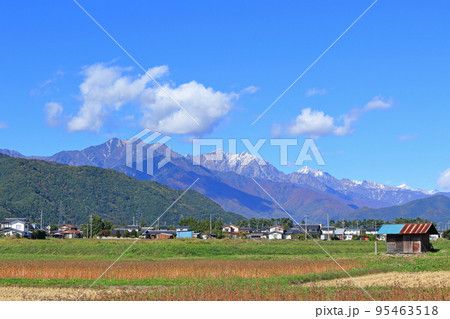 秋の北アルプス後立山連峰 秋の北アルプス後立山連峰 95463518