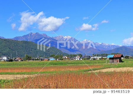 秋の北アルプス後立山連峰 秋の北アルプス後立山連峰 95463519