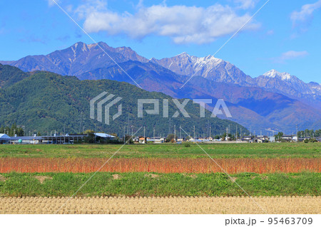秋の北アルプス後立山連峰 秋の北アルプス後立山連峰 95463709