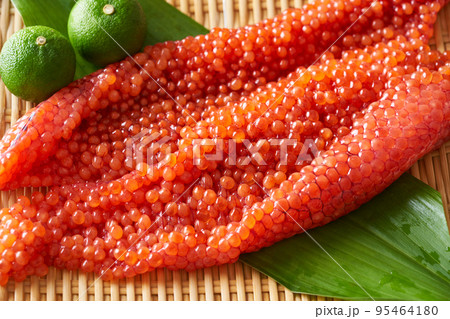 北海道産　生筋子（白鮭） 95464180