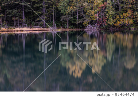 【北海道・オンネトー】秋の温根沼 10月 95464474