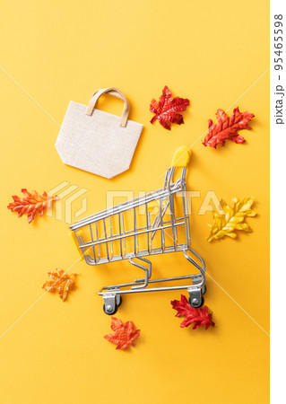 秋 あき 秋の 95465598