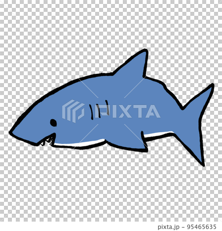 サメの手描きイラスト 95465635