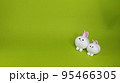 二匹のかわいいうさぎのぬいぐるみ、黄緑色の背景 95466305