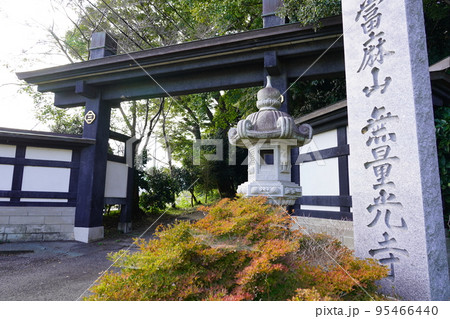 当麻山 無量光寺 外門 当麻山 無量光寺 外門 95466440