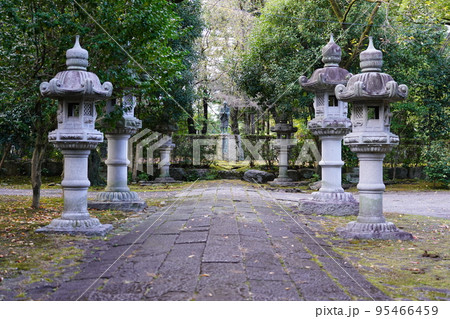 当麻山 無量光寺 参道 当麻山 無量光寺 参道 95466459
