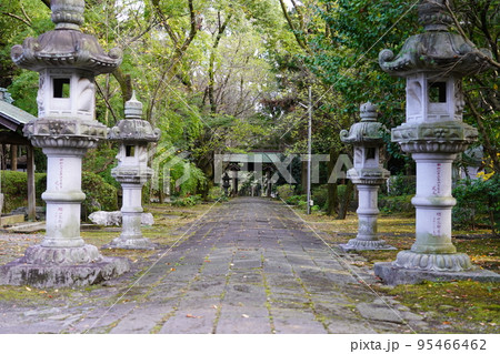 当麻山 無量光寺 参道 当麻山 無量光寺 参道 95466462
