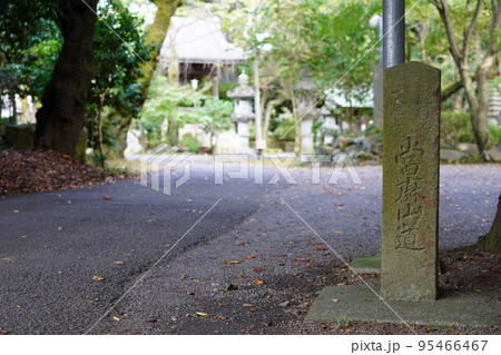 当麻山 無量光寺 山道 当麻山 無量光寺 山道 95466467
