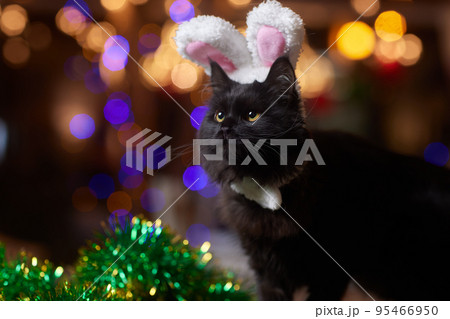 Cute cat in Santa Claus hat against blurred Christmas lights. 95466950