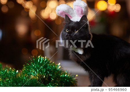 Cute cat in Santa Claus hat against blurred Christmas lights. 95466960